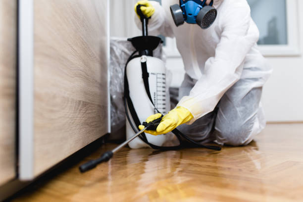 Best Flea Control Services  in North Crossett, AR
