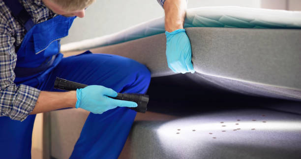 Best Affordable Pest Control Services  in North Crossett, AR