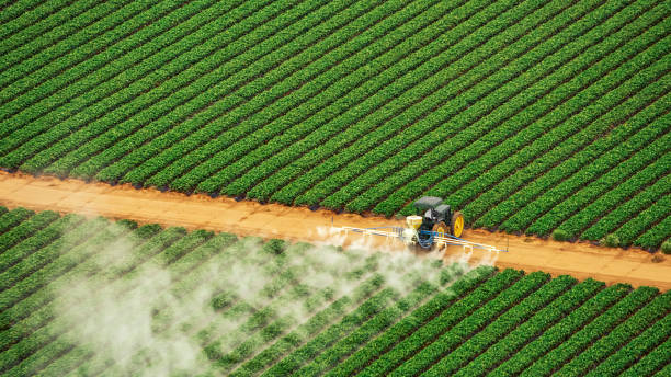 Best Local Pest Control Services  in North Crossett, AR