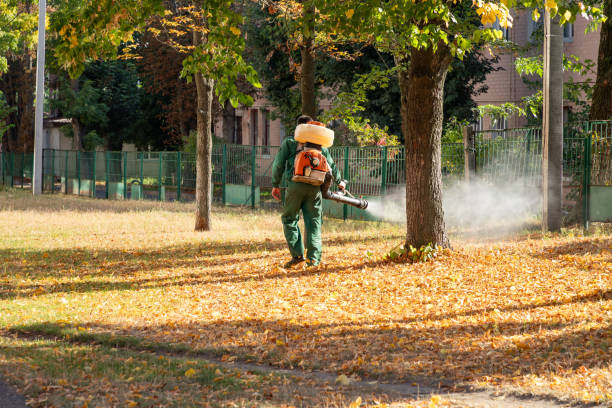 Best Exterminator Services  in North Crossett, AR