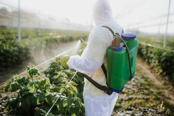 Best Pest Prevention Services  in North Crossett, AR
